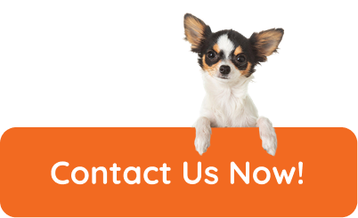 Contact Us Now