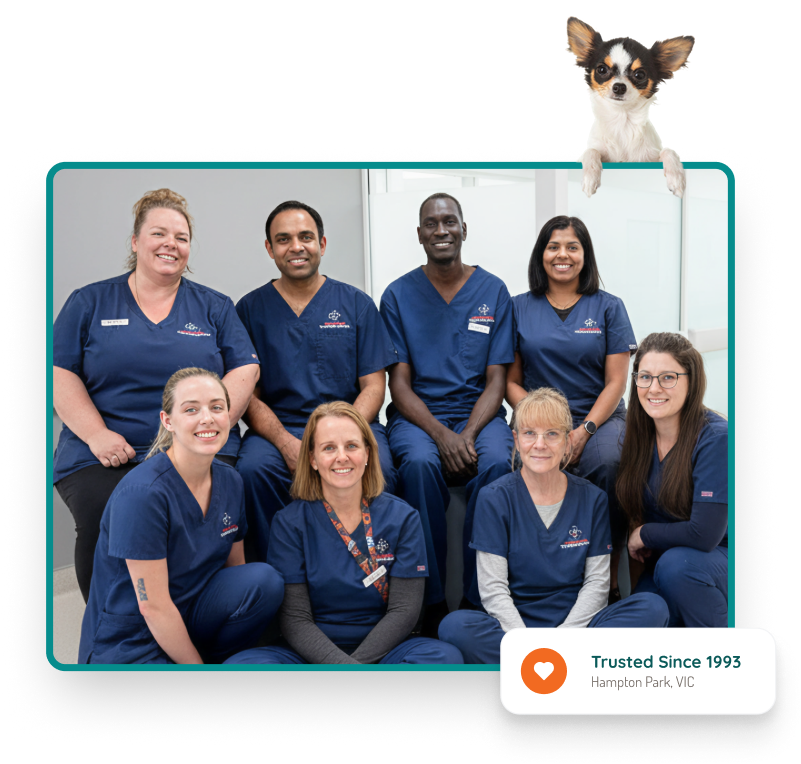 Best Care Vets team