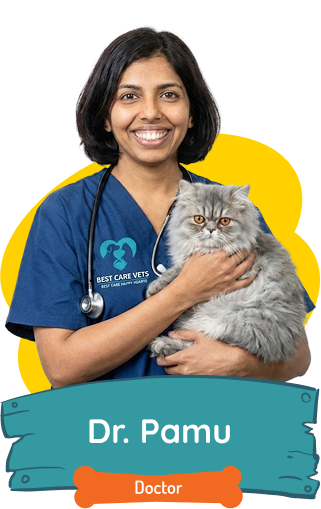 Dr. Pamu