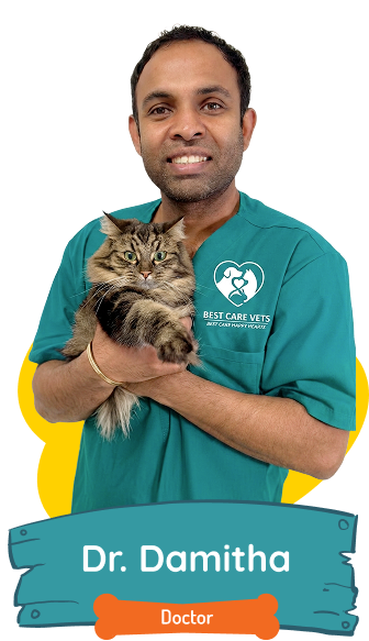 Dr. Damitha
